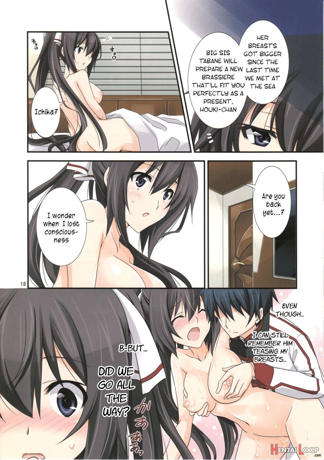 Burst Up！Infinite Stratos FAN BOOK page 18