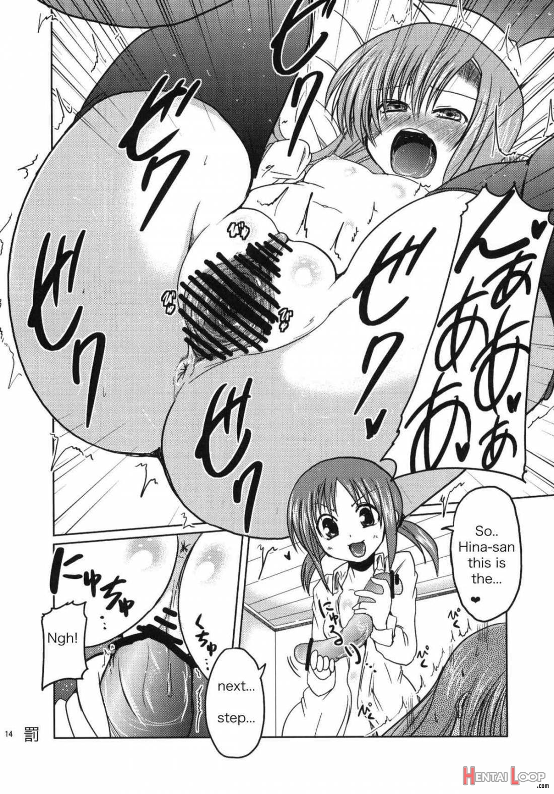 Hinagiku to Hamster ga Kyakkyaufufu Suru Ecchina Hon page 11