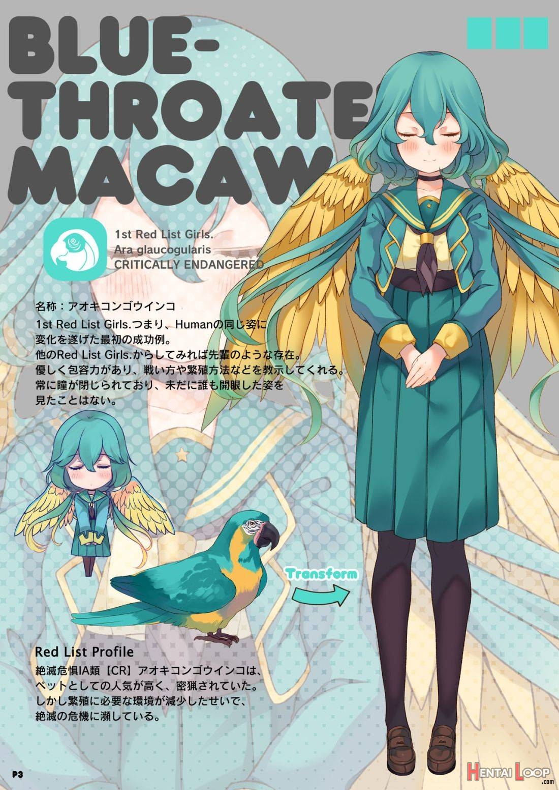 MACAW;EDUCATION page 2