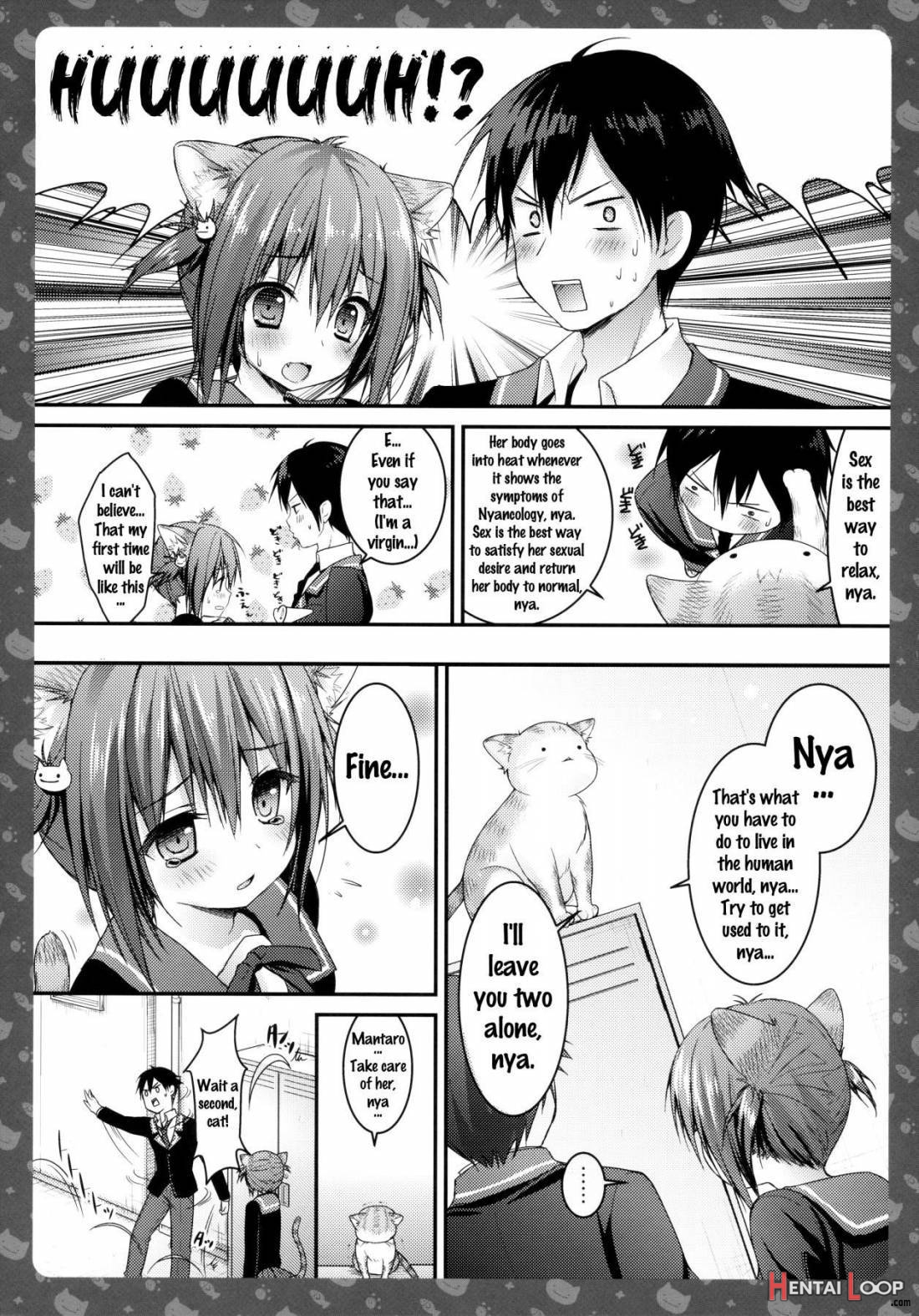 Nyancology -Kaettekita Nekota-san no Himitsu- page 12