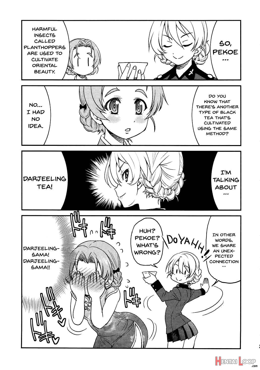 Darjeeling-sama no Ponytail page 19