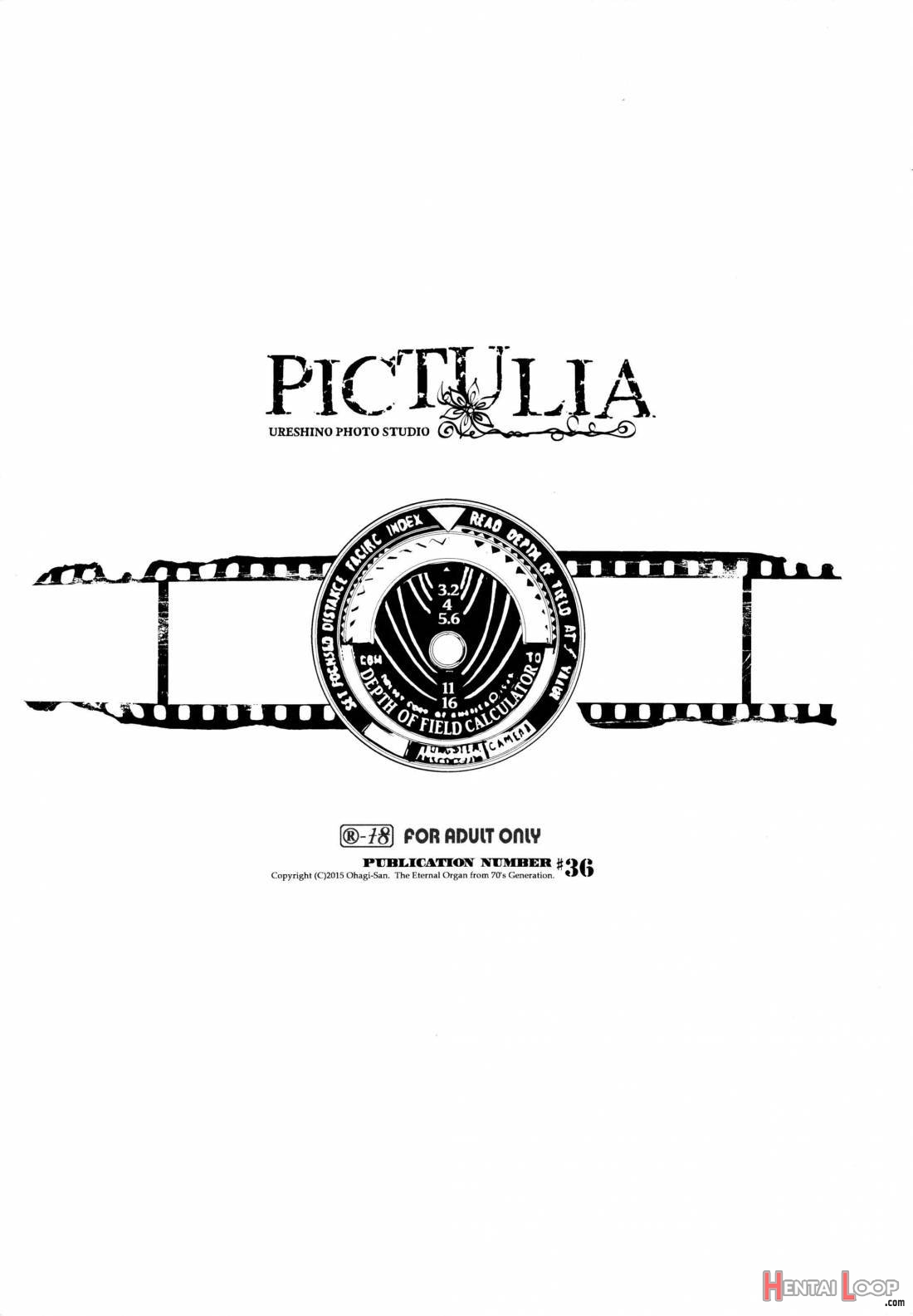 pictulia + 4P Leaflet page 4